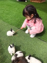 -萌宠亲子动物乐园(槐房万达店)