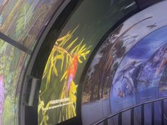 -房山世界地质公园博物馆