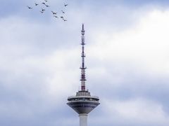 -沈阳植物园