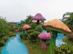 -荷兰花海