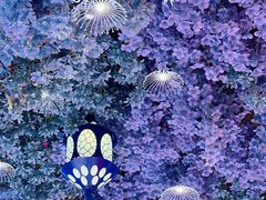 -宏宴·新京菜(望京店)