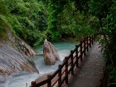 -广州白江湖森林公园