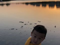 -南翔镇银翔湖公园