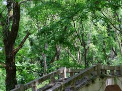 -青龙山国家森林公园