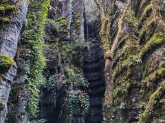 -梭布垭石林景区