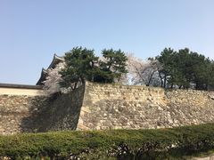 -名古屋城