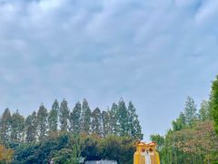 -祥源·阜阳生态乐园