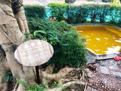 -灵秀温泉