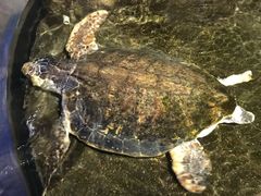 -青岛海底世界-水族馆