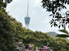 -梧桐山风景名胜区