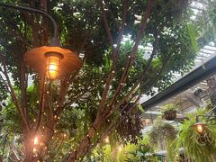 -The Grounds of Alexandria