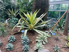 -南山植物园