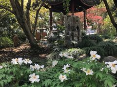 -上海醉白池公园