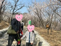 -阳台山自然风景区