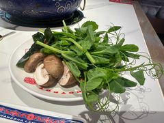 -董记老清泉·鲜切涮羊肉(窑岭店)