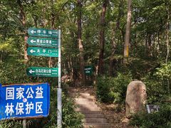 -紫金山山顶公园