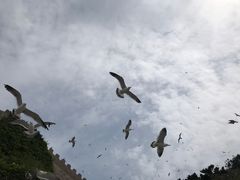 -海驴岛(荣成市)