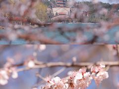 -颐和园