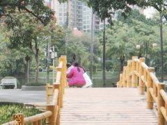 -晓港公园