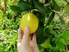 -广州神农草堂中医药博物馆