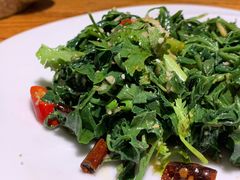 凉拌花椒芽-滇香肴·云南菜蒸汽石锅鱼(云南北路店)