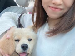 -派特宠物医院(圆融广场店)