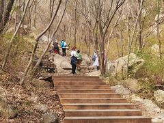 -大岭沟猕猴桃谷风景区