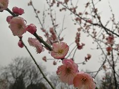 -白塘生态植物园