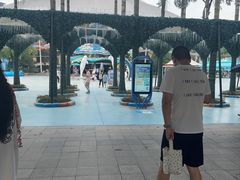 -海合安成都极地海洋公园
