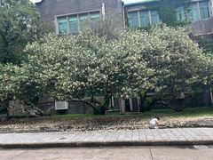 -苏州大学(天赐庄校区)