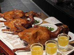 -大鸽饭(北京路店)