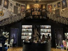 -雪灵魔法世界SHELLY’S TAROT(大良桂畔里店)