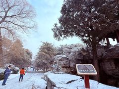 -晋祠公园