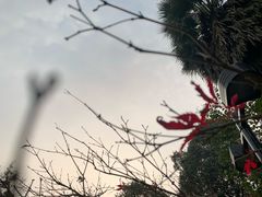 -南山植物园