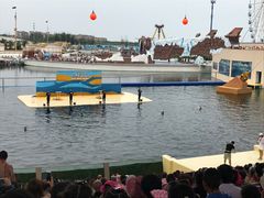 -秦皇岛乐岛海洋王国