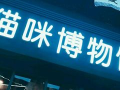 -猫咪博物馆(顶澳仔猫街店)