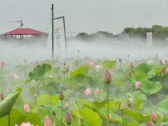 -嘉北郊野公园