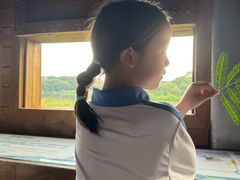 -华侨城湿地公园