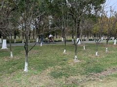 -阳澄湖半岛旅游度假区