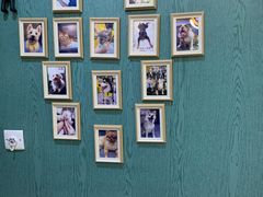 -严国平动物医院(德政总院)