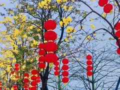 -洲头咀公园