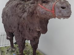 -中国第四纪冰川遗迹陈列馆