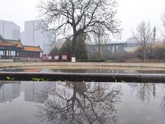 -莲花池公园