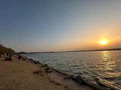 -丁香湖公园