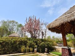 -瑞阁温泉酒店温泉中心