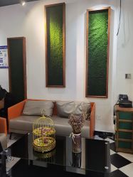 -审美HAIR SALON