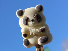 -沈阳森林动物园