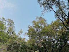 -板樟山森林公园