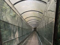 -四会奇石河风景区