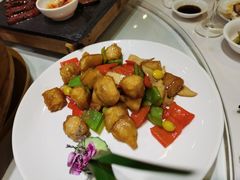 -天福苑(崇宁路店)